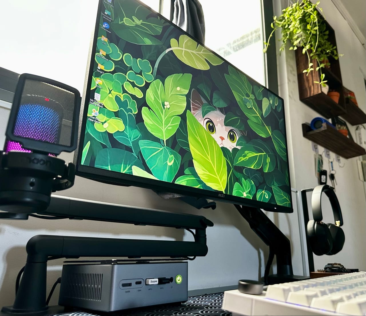 Góc máy của Võ Minh Sang: Góc làm việc với màn hình MSI gắn arm, hình nền mèo giữa lá xanh, mini PC, micro RGB, tai nghe đen và kệ gỗ treo cây.