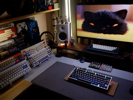 Setup by Ed