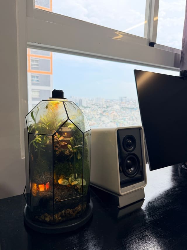 Góc bàn đen cạnh cửa sổ nhìn ra thành phố, có bình terrarium cây xanh phát sáng, loa trắng và một màn hình.