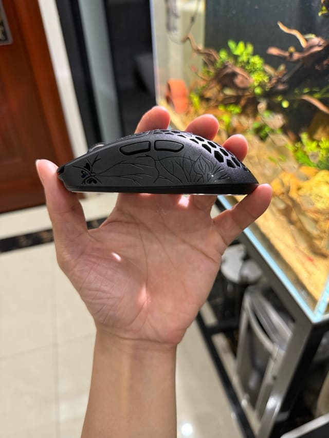 Đạt Tony khoe đồ
