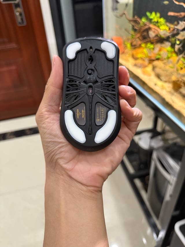 Đạt Tony khoe đồ
